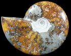 Polished, Agatized Ammonite (Cleoniceras) - Madagascar #54732-1